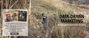 Data-Driven Marketing for Covey Rise Magazine